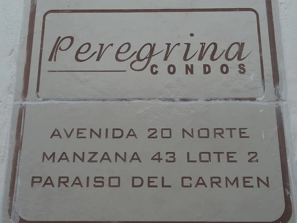Vida Nueva Bed&Breakfast Peregrina 2*, Playa del Carmen Mexico